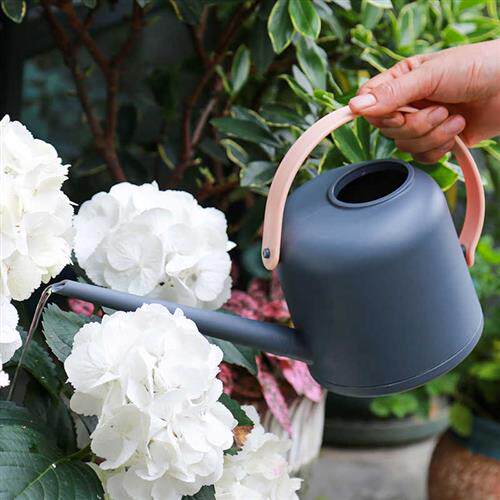 极速洒壶园艺浇菜壶家用淋花壶加厚洒水壶大浇花喷壶塑料浇水壶长