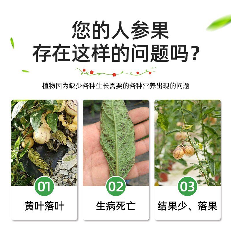 极速人参果树专用肥人参果肥料有机复合肥授粉座果促花催果防落高