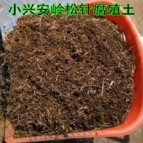 极速杜鹃茶花松针土腐殖腐叶土君子兰花专用土多肉植物绿萝文竹营