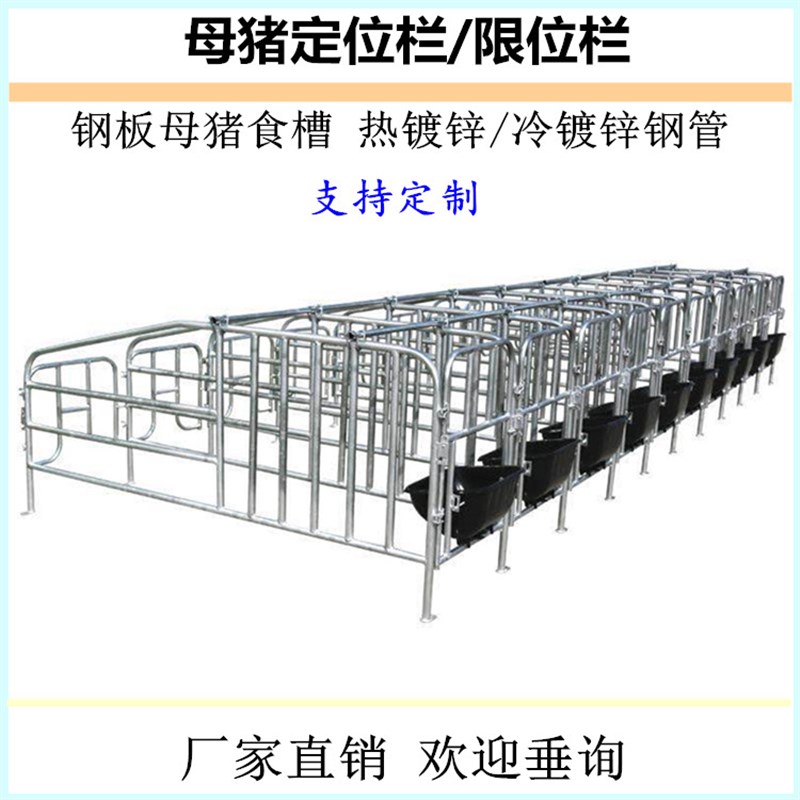 好货包邮猪用定位栏母猪限位栏怀孕母猪专用栏体加厚钢管养猪设备