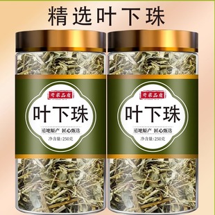 叶下珠中药材500g克野生叶下珠草珍珠草龙珠草鱼鳞草夜合草中草药