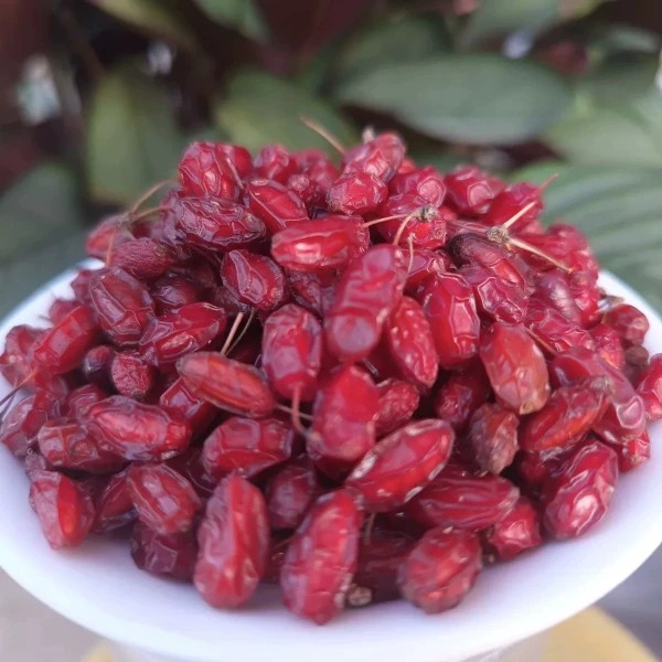 山茱萸野生霜后枝头自然风干带核山茱萸果干种子茶中药材红衣仙子
