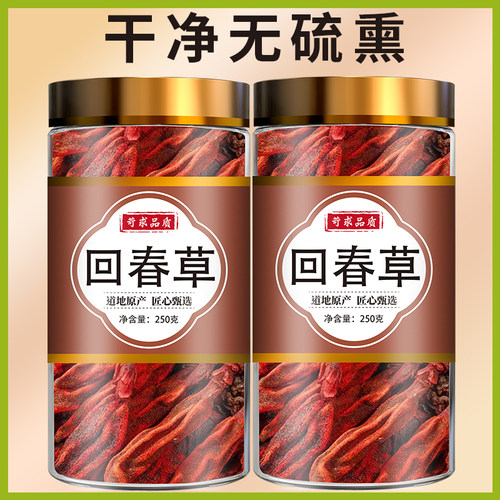 回春草旗舰店正品500g泡茶不老草顶天柱茴春草泡水云南非野生新鲜