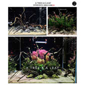 饰 自然造景套餐 草缸一木一叶 草缸造景 鱼缸装 杜鹃根 造景沉木