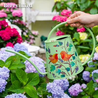Berry&Bird长嘴浇花水壶多肉浇水壶养花家用洒水壶淋花壶园艺