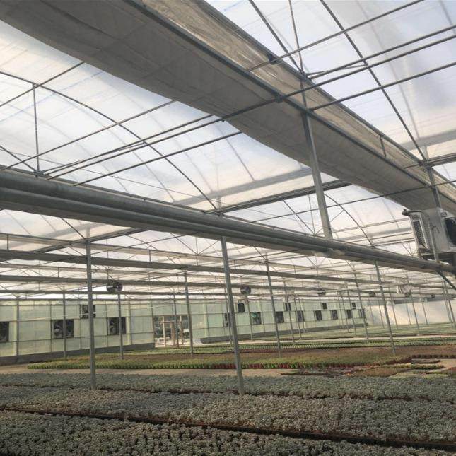 连栋双拱大棚连栋棚智能温室大棚花卉蔬菜种植棚养殖大棚骨架,农机/农具/农膜,智能温室设备,淘宝优惠券,粉丝福利购,淘宝优惠卷