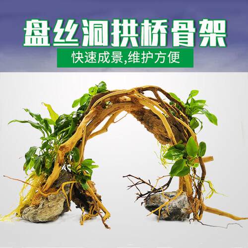 鱼缸拱桥沉木骨架水族天然杜鹃根枝条树根栖根水草缸造景装饰摆件