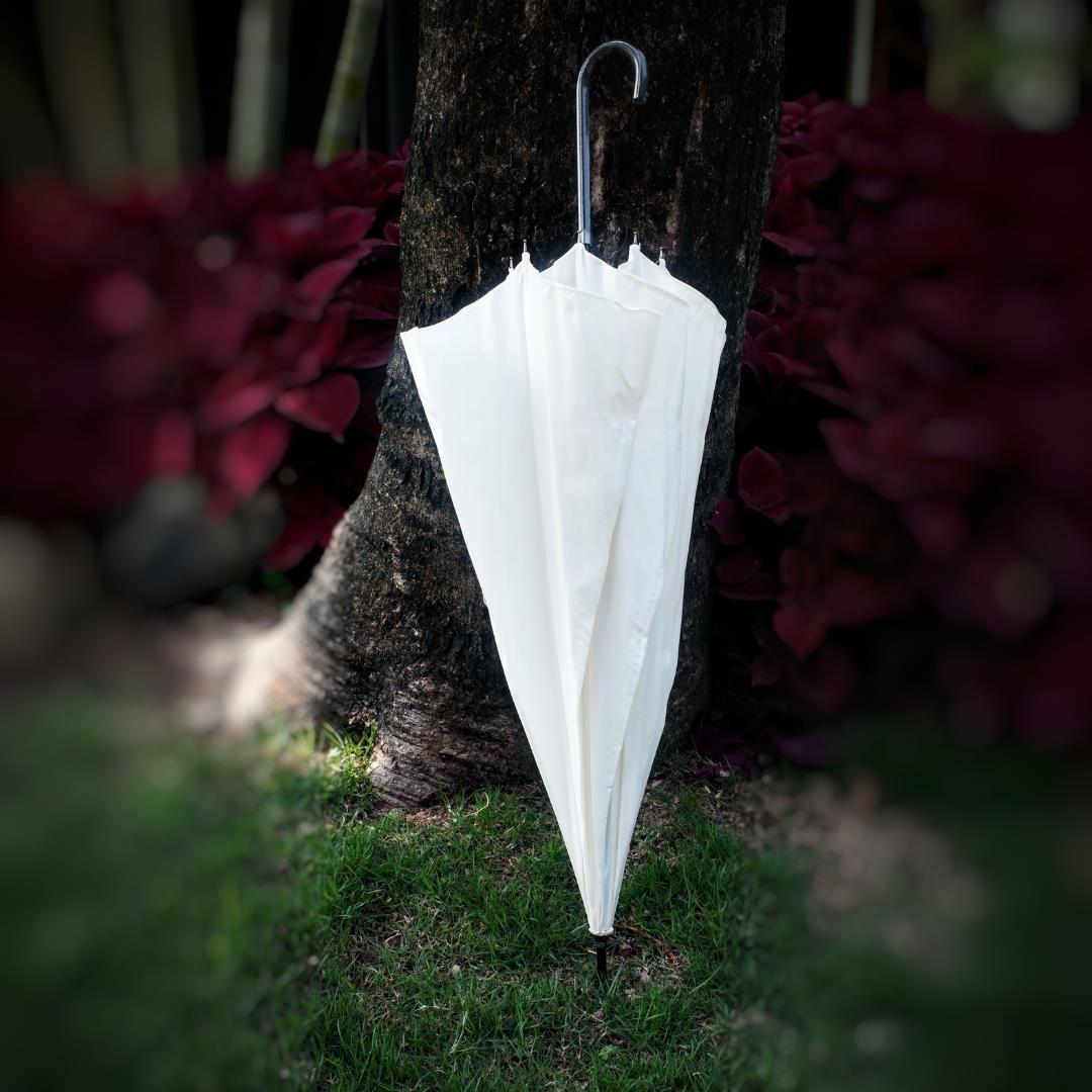 女生用清新小资英国obolts白色手开超泼水长柄雨伞皮革伞柄安全式