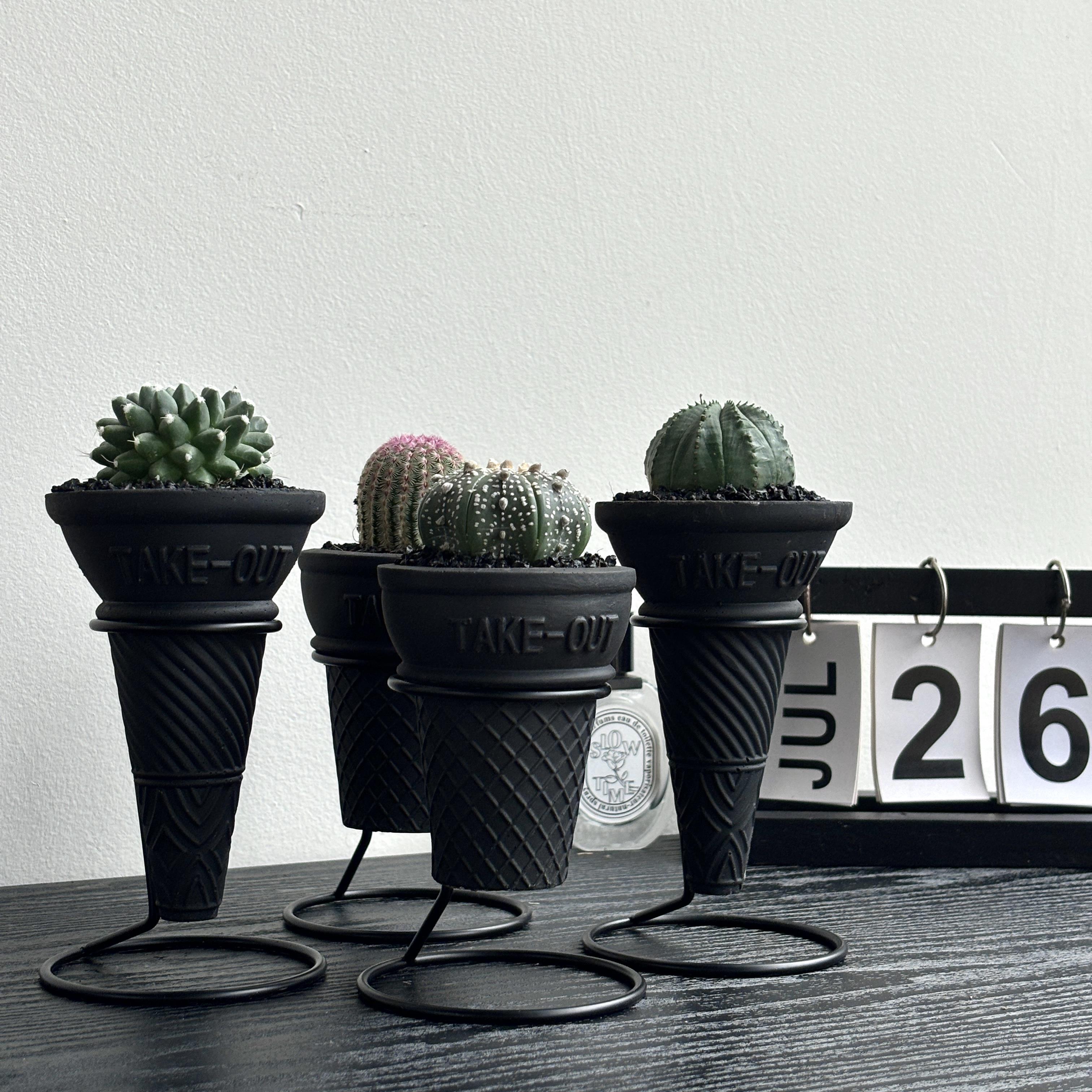 潮流块根植物仙人球组合盆栽创意礼品办公室桌面红太阳布纹球雪糕