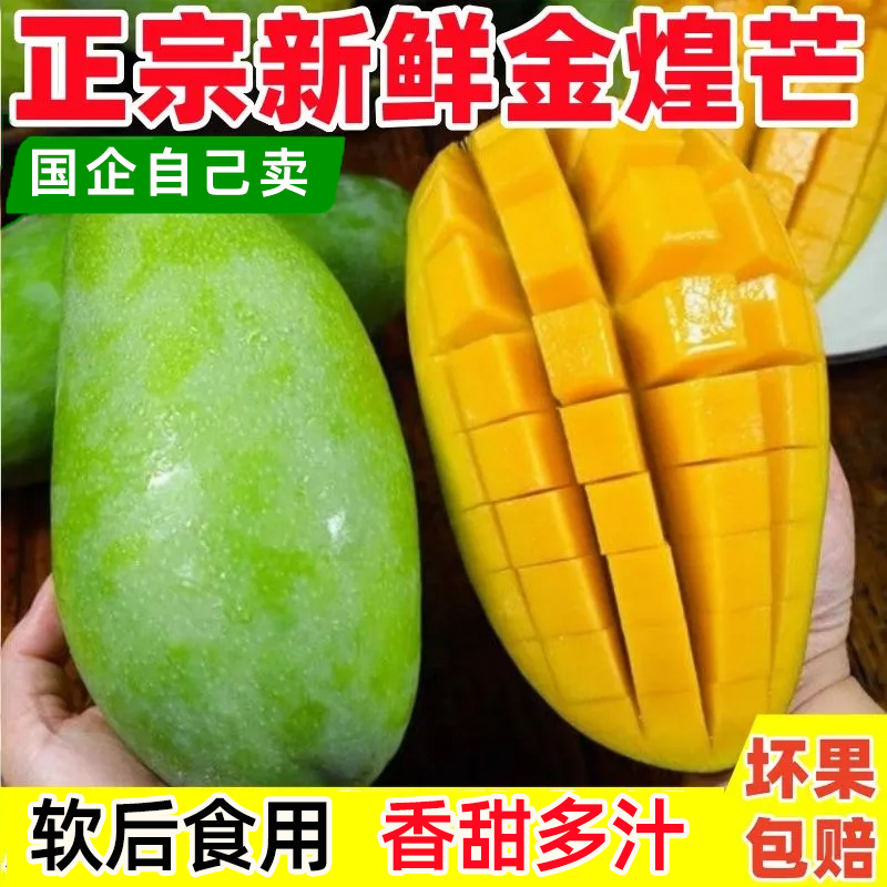 金煌青皮大青芒果新鲜水果当季芒果现摘当季新鲜水果整箱青皮芒