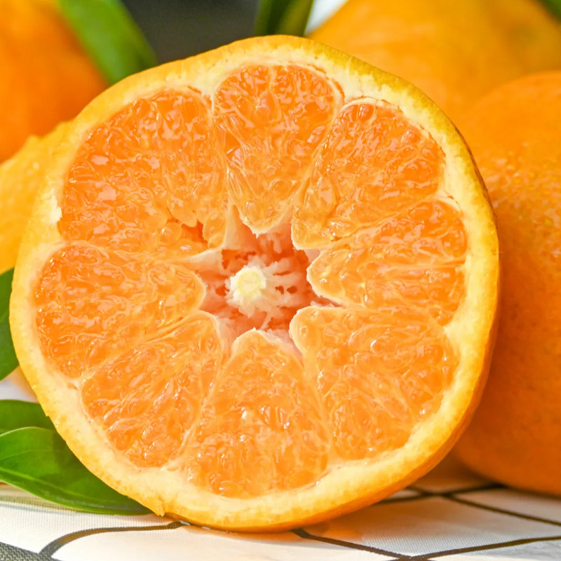 忠橙柑橘春见耙耙柑新鲜应季时令水果柑橘多规格