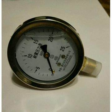 yn-60 0-25mpa 雷尔达仪表 耐震压力表 直径68mm M14*1.5