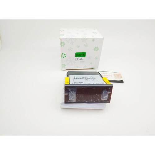 ED66超高温恒温度调节仪控制仪超低温控器温度控制器负150正400度