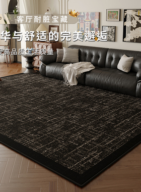 家用新款黑色客厅茶几地毯轻奢高级感免洗可擦卧室床边毯隔音地垫