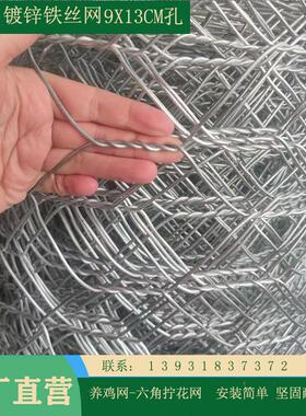 网安平迪丝编织六角豪网铁 羊圈铁丝网 10cm网XBK孔 拦羊围 畜牧