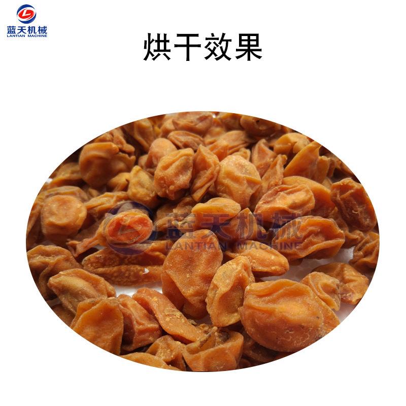 大型黄皮烘干机 黄子黄段能果脯烘干设备空气山黄皮WRA弹果 干烘