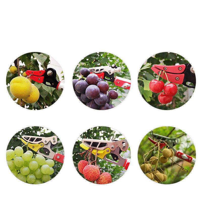 高空伸缩修枝剪锯摘果器专门到树上采摘荔枝龙眼枇杷樱桃桂圆工具