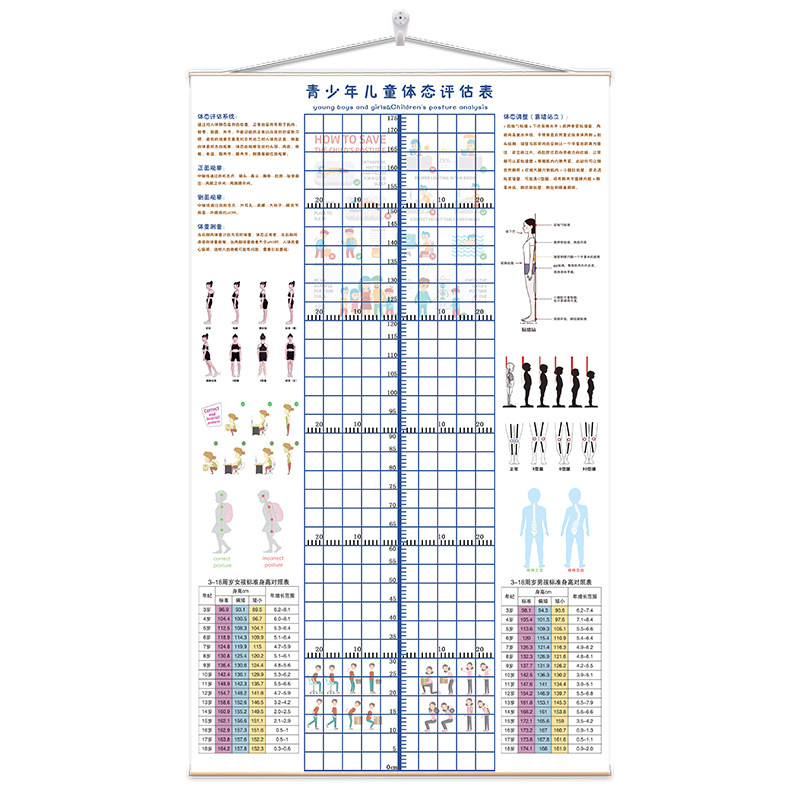青少年体态评估表儿童体适能舞蹈艺术培训模特体测表身体评估墙贴