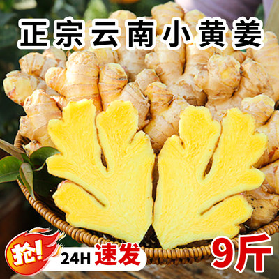 2025新云南小黄姜红河新鲜生姜老姜现挖高山沙姜土姜种子蔬菜9斤