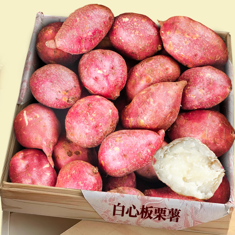 【白心红薯】商超精品|优质粗粮