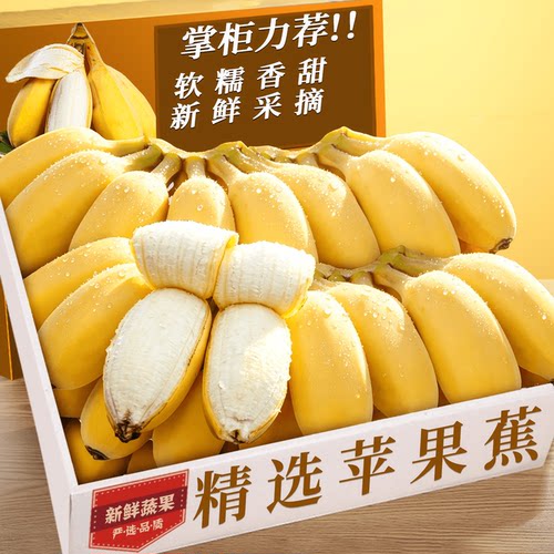 现摘苹果蕉！营养辅食！美味香甜