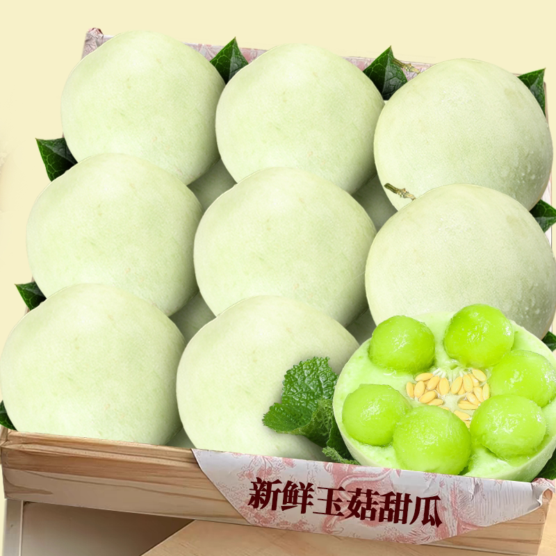 玉菇甜瓜！天猫甄选！热抢热购