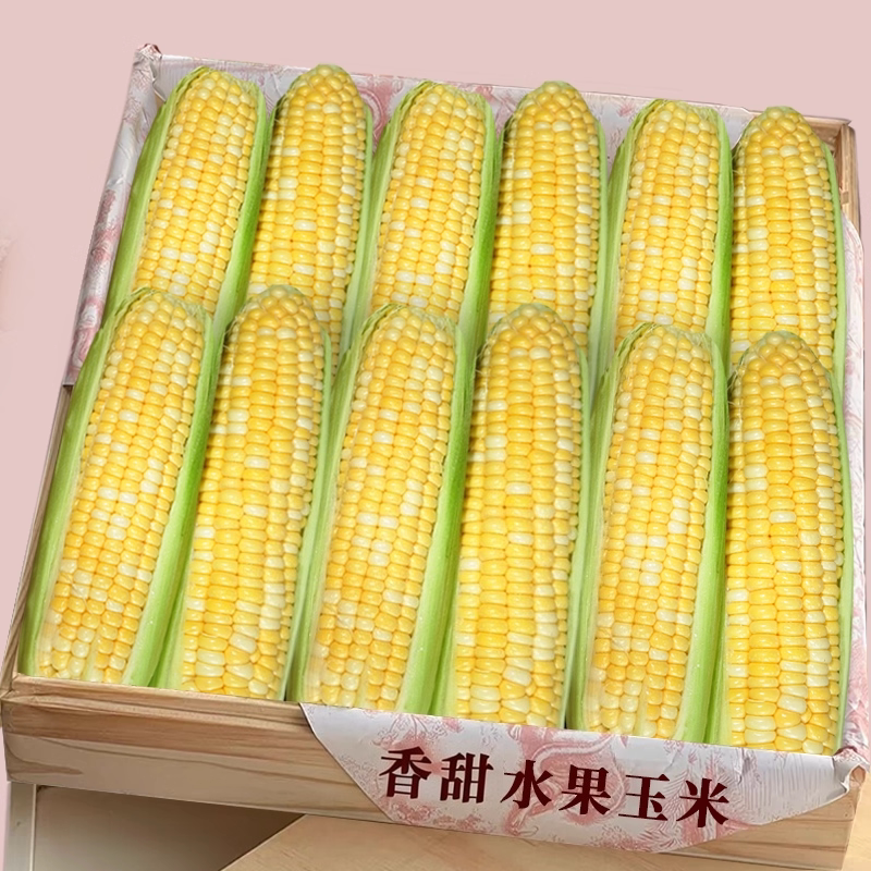 【水果玉米】老农力荐!美味好吃