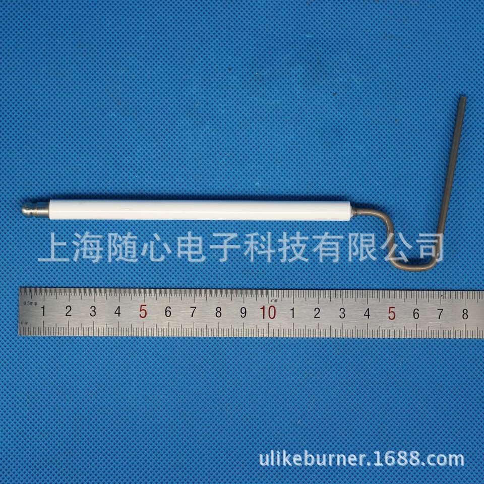 离子探针/火焰探测 |BLU500/BLU700/BLU1000 Ecoflam/意高 燃烧器