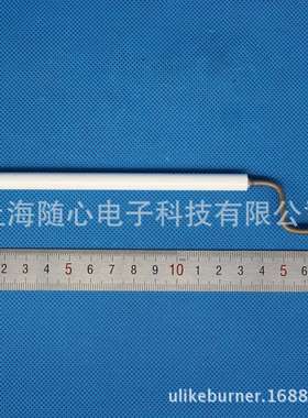 离子探针/火焰探测 |BLU500/BLU700/BLU1000 Ecoflam/意高 燃烧器