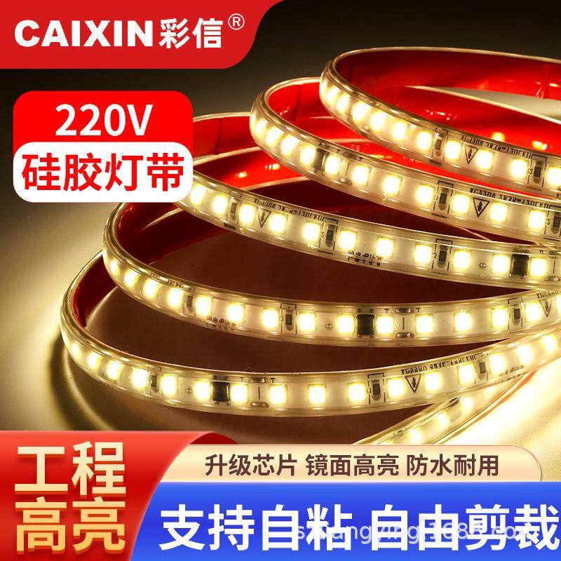 高亮工程专用AC220V/127V/36V/DC36V/24V/12V防水户外LED灯带灯条