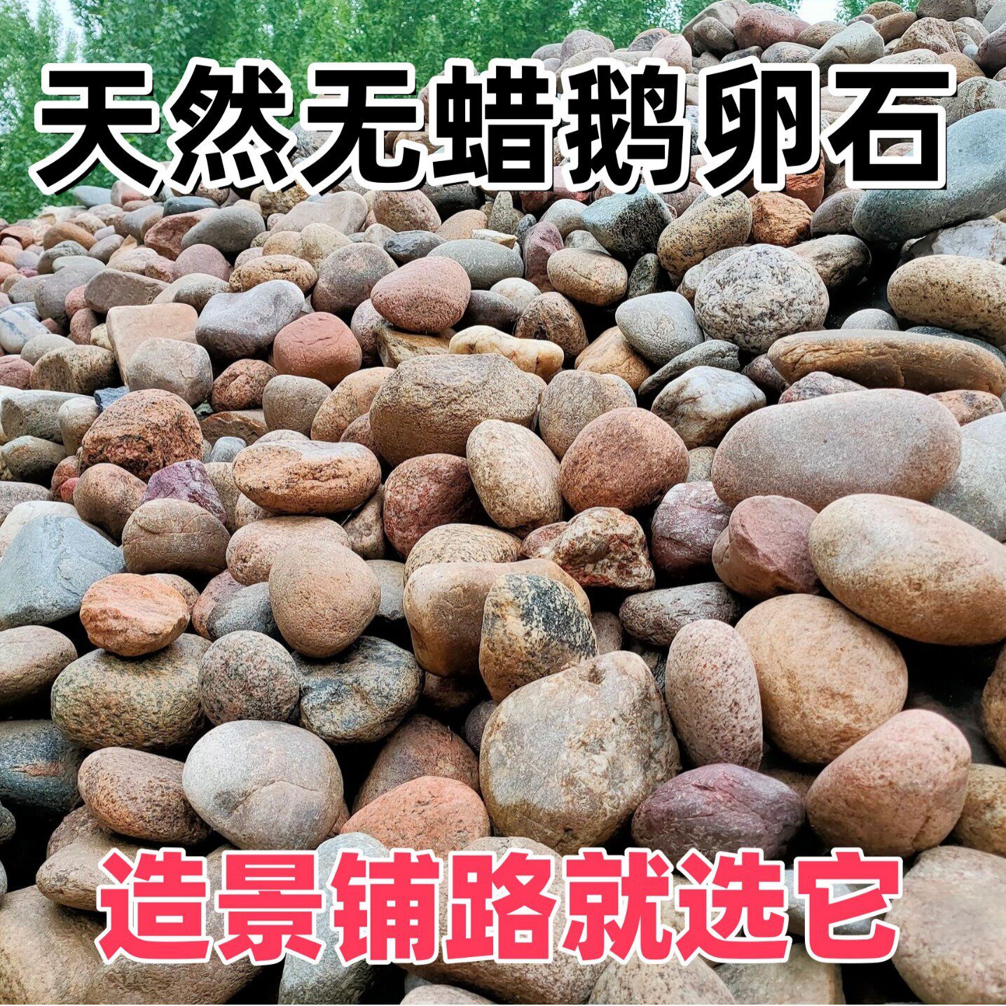 河卵石铺路铺地庭院花园造景鹅卵石水处理油池过滤园林景观鹅卵石