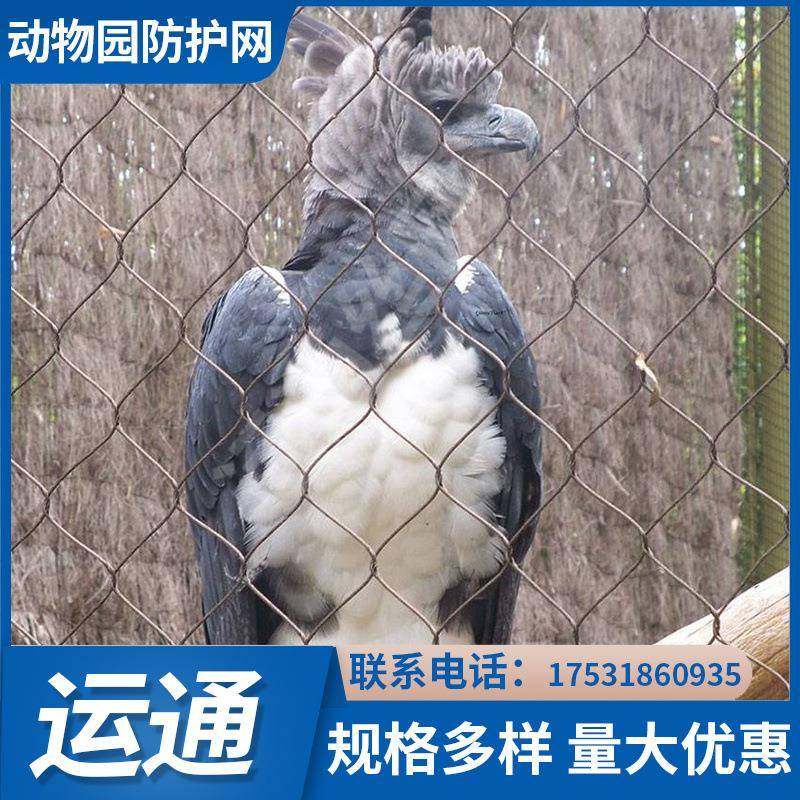 A鸟语林网304A高陵鸟语林绳网A