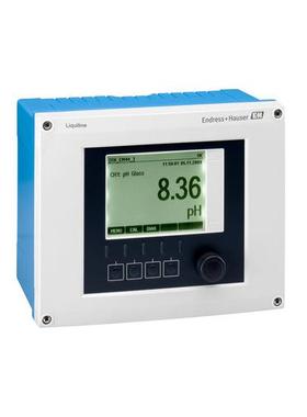 eh双通道变送器/控制器CM442-AAM1A2F010ACM42-MAA000EAE00