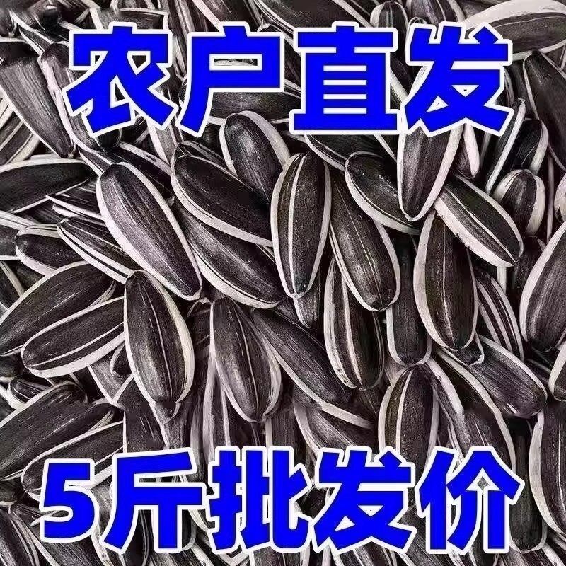 【10.9发2斤】大花脸瓜子内蒙古原味瓜子5斤炒熟大颗粒追剧葵花籽
