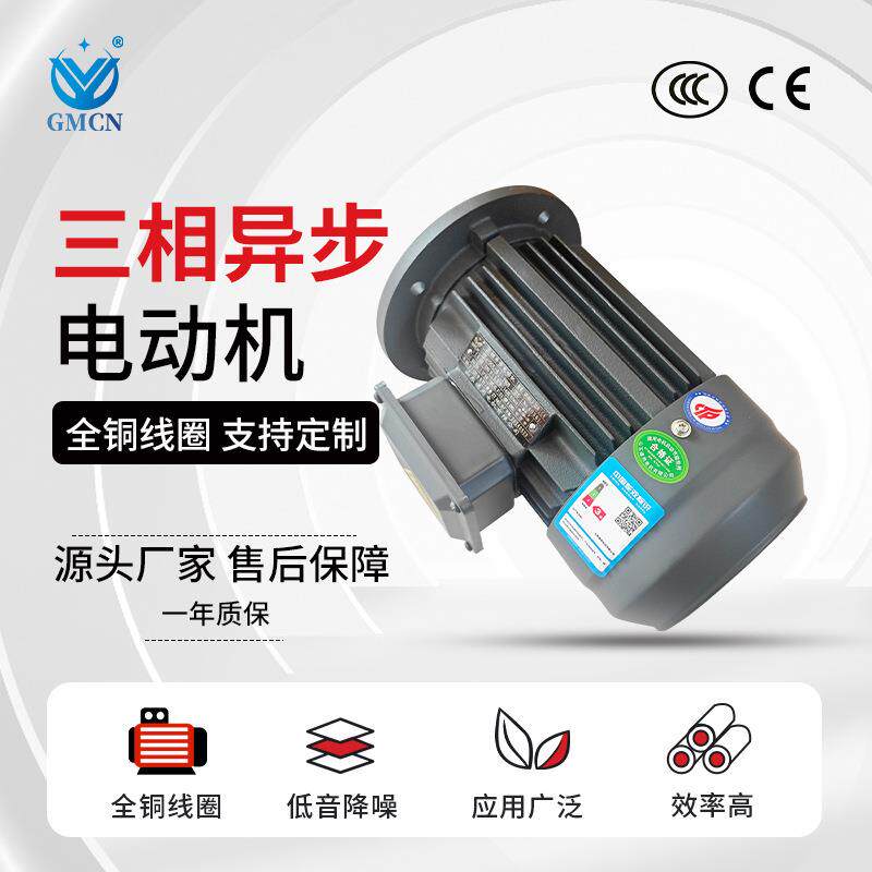 三相异步电机YE3-200L1/L2-2极铁壳电动机30W-37千瓦全铜马达