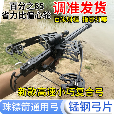 成年人专用大威力连发复合弓高精度精准钢珠射箭两用户外大弹弓