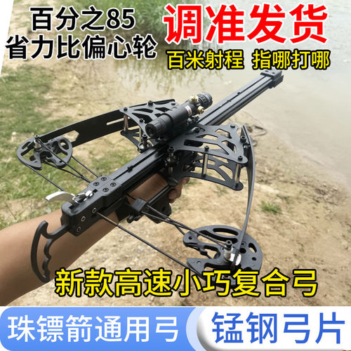 成年人专用大威力连发复合弓高精度精准钢珠射箭两用户外大弹弓