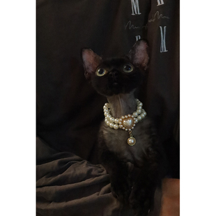 德文猫配饰8 EGG/复古珍珠项链 ins宠物小猫咪宝石吊坠饰品项圈围