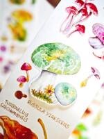 "Mushroom Guide" by Xingxing Cultural and Creative Plant Mushroom Die-cut Tape Sticker by Afei Watercolor Hand-painted thumbnail 2
