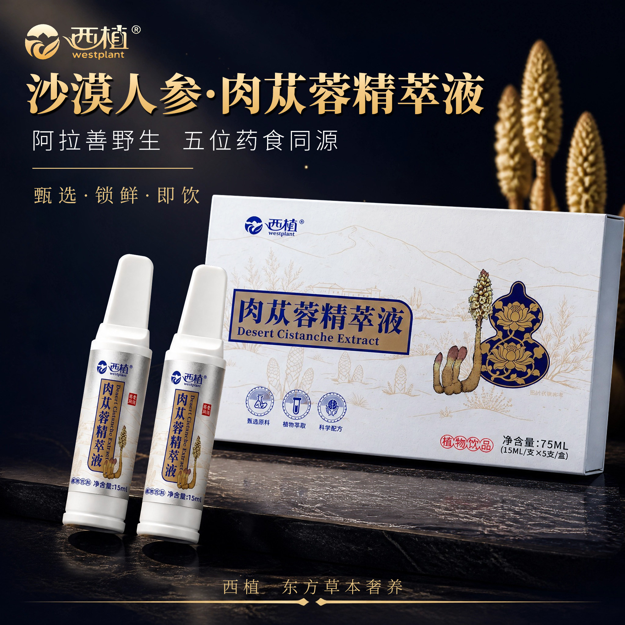 西植肉苁蓉精萃粹液原浆小分子药食同源草本植物饮品便携装滋补养