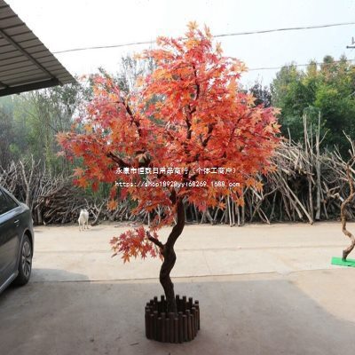 红枫树红枫造型树大型装饰枫叶树榕树树造景橱窗落地手感保湿雏菊