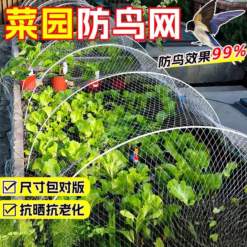 新款尼龙单丝防鸟网防鸟网花园保护网聚乙烯pe植物网罩果树菜防鸟