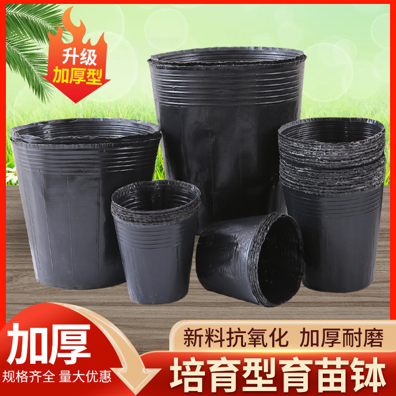 育苗营养杯育苗袋大号一次性花盆黑色种植塑料育苗杯育苗盆营养钵
