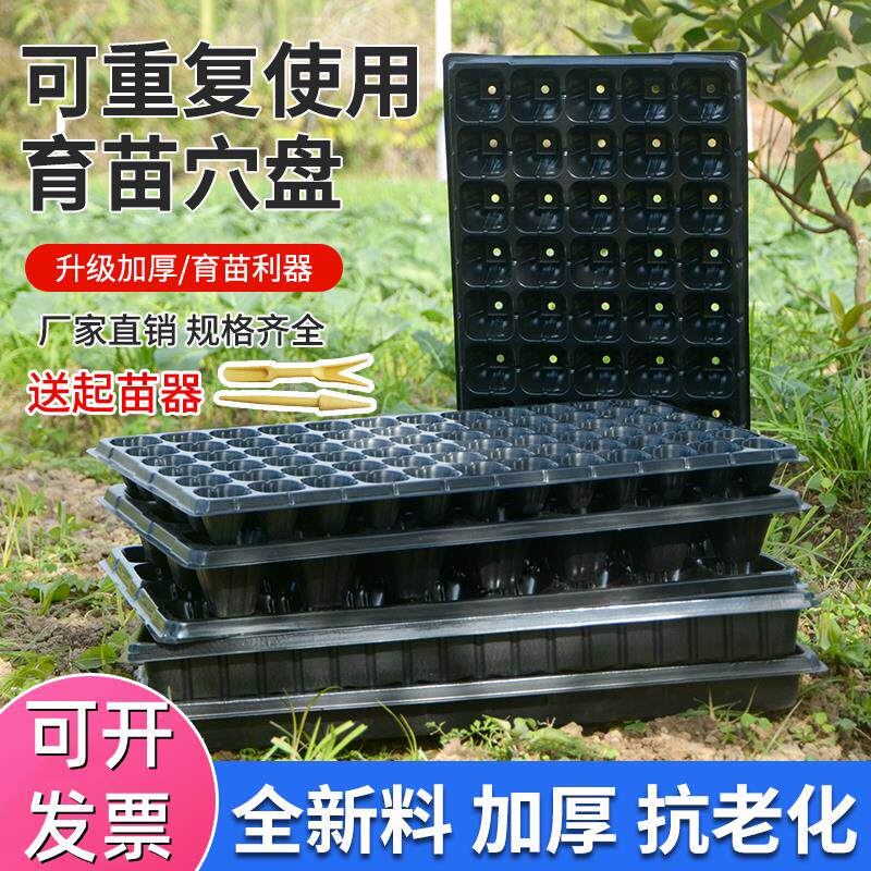 加厚多肉芽苗菜培育箱穴盘多肉种植育苗盒育苗盘塑料营养钵盆扦插