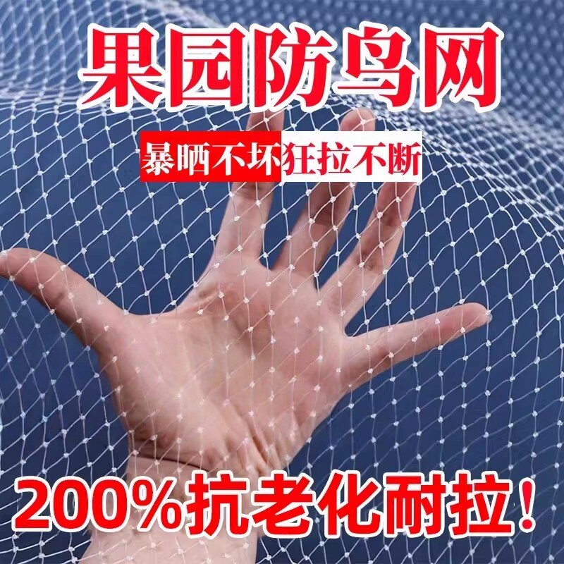 防鸟网果树果园大棚尼龙线防乌网阳台樱桃树葡萄窗户鱼塘阳台护网