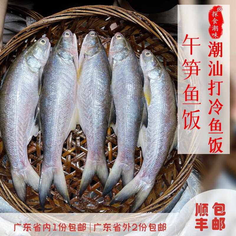 潮汕特产汕头打冷鱼饭午笋鱼饭马友鱼饭鲜甜嫩 潮汕鱼饭包邮图片