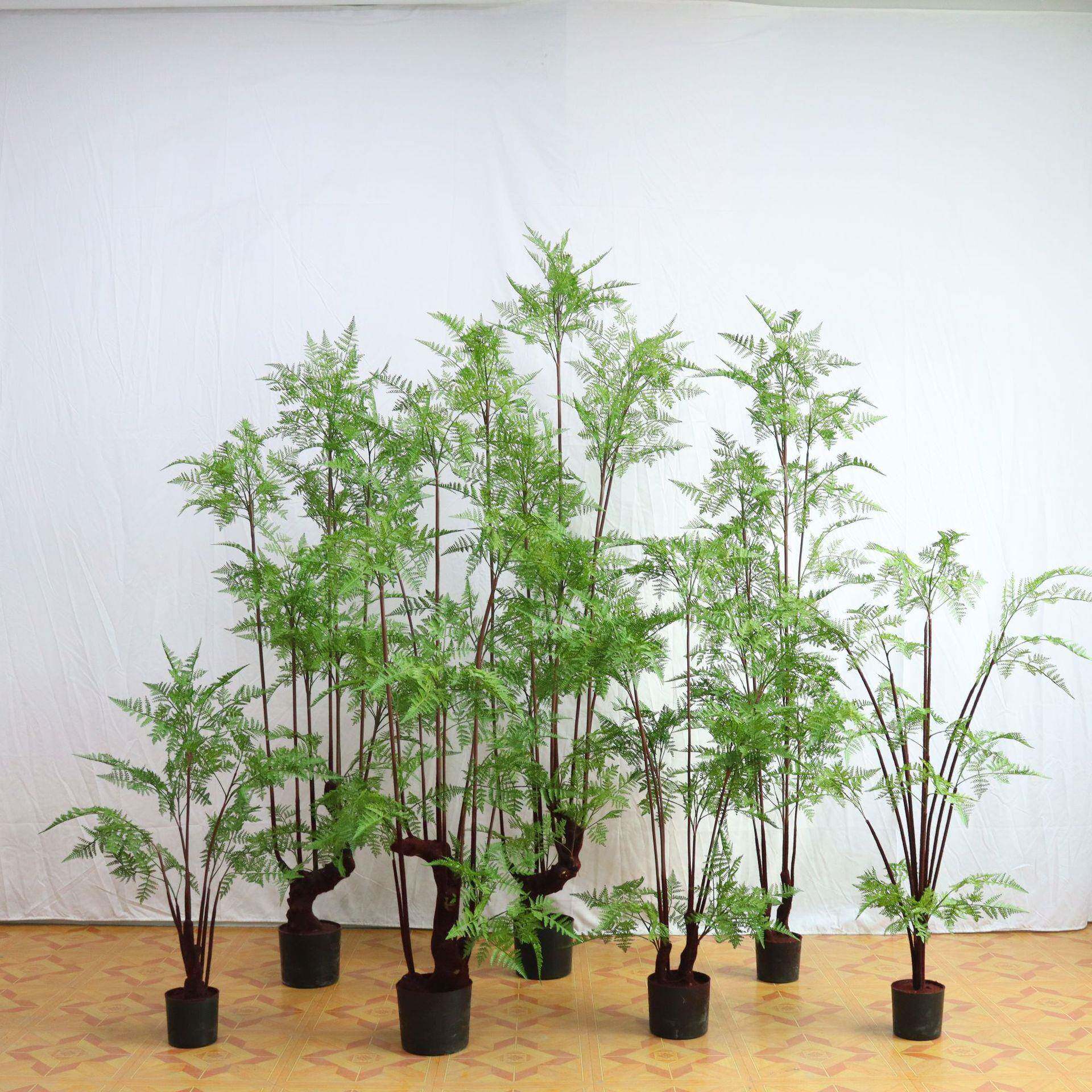 仿真蕨类植物铁线蕨家居橱窗造景装饰摆件落地绿植盆栽