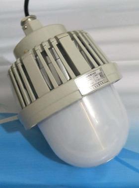 防爆LED泛光灯TGF762B50W防水防尘防眩平台灯壁式油漆房用防爆灯