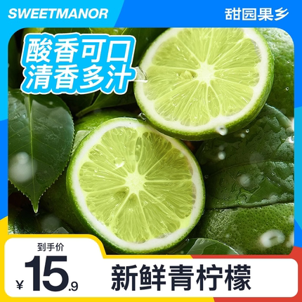 甜园果乡柠檬新鲜海南青柠檬应季水果爆汁青柠正宗香水薄皮一级