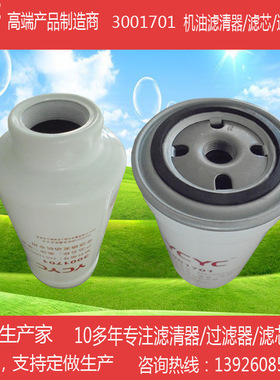批发3001701//S01100-1105350/A50000/1AF000/A60B00柴油一体滤芯